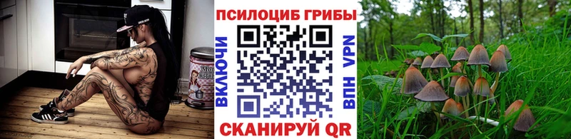 Галлюциногенные грибы мухоморы Советский